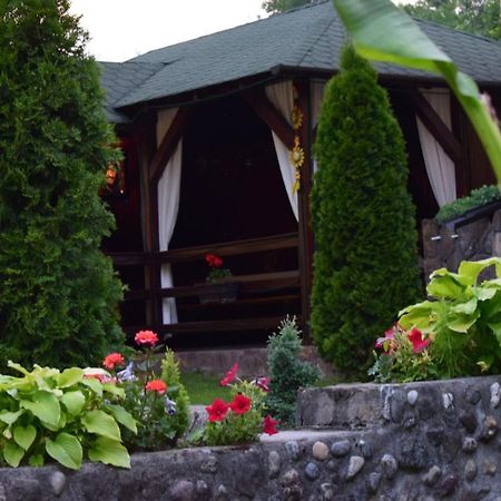 Casa De Vacanta Silvia Vărmaga Exterior foto