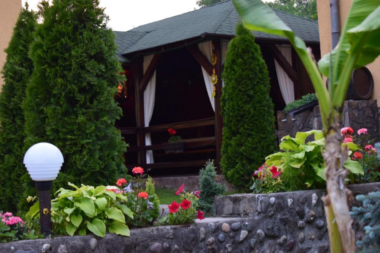 Casa De Vacanta Silvia Vărmaga Exterior foto